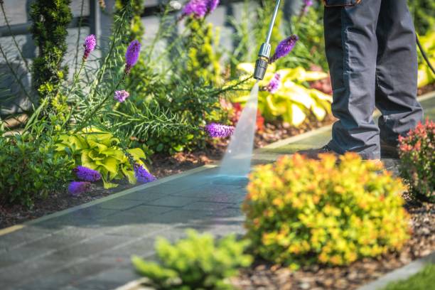 Best Gutter Cleaning  in Ontario, CA